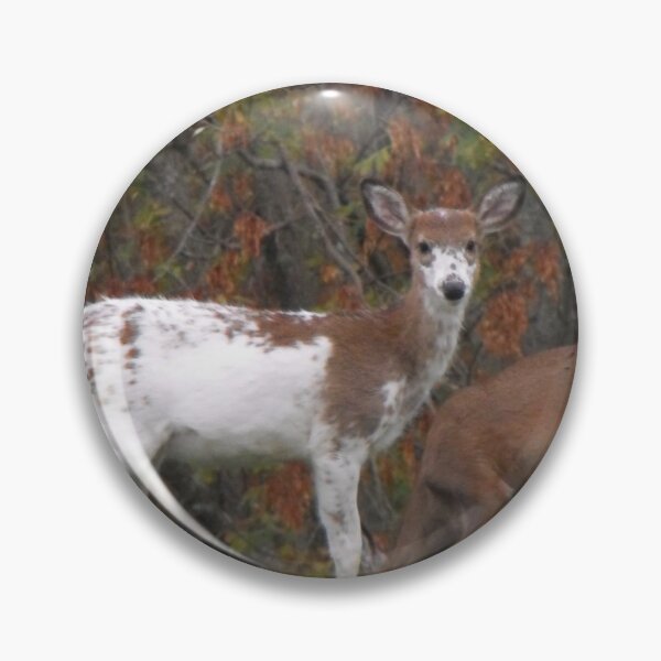 Item preview, Rare Piebald designed and sold by B-Inspired72.