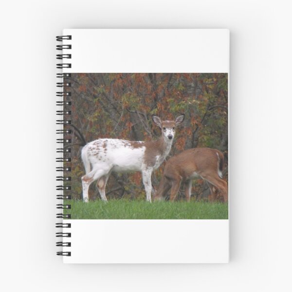 Item preview, Rare Piebald designed and sold by B-Inspired72.