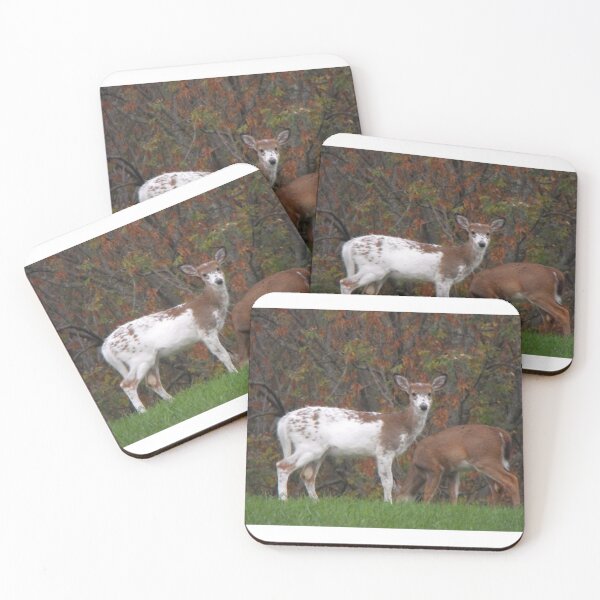 Item preview, Rare Piebald designed and sold by B-Inspired72.