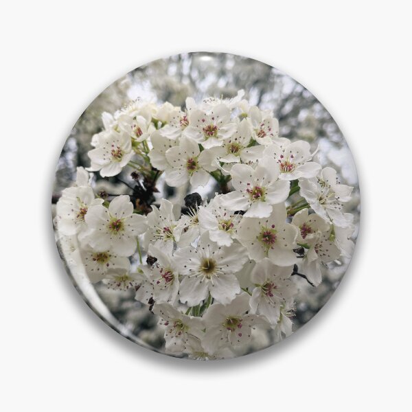 Item preview, Dreamy White Callery Pear Blossom designed and sold by CelticValkyrie.