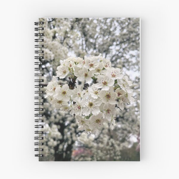 Item preview, Dreamy White Callery Pear Blossom designed and sold by CelticValkyrie.