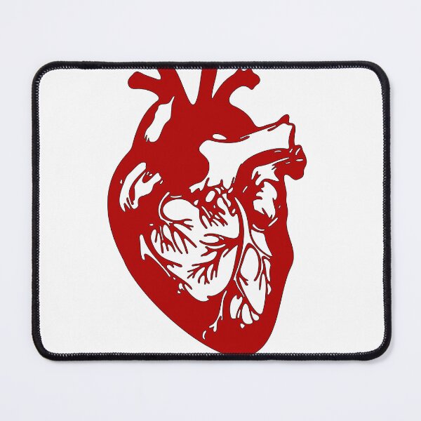 Item preview, Red Anatomical Human Heart - Minimalist Vector Illustration designed and sold by Keltoi-art.