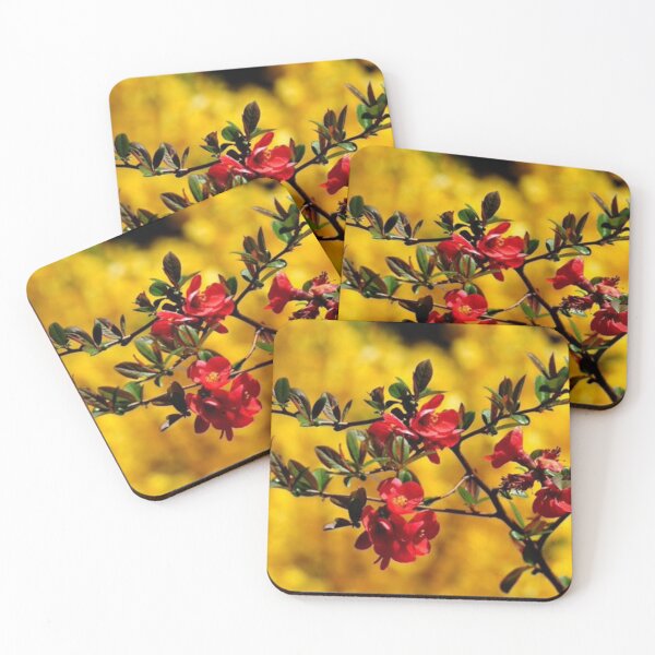Item preview, Desert Blooms designed and sold by trailsitravel.