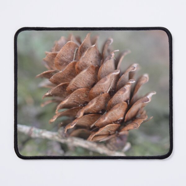 Item preview, Pine cone designed and sold by larissamae.