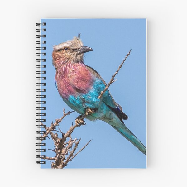 Item preview, Lilac Breasted Roller designed and sold by sandraanderson.