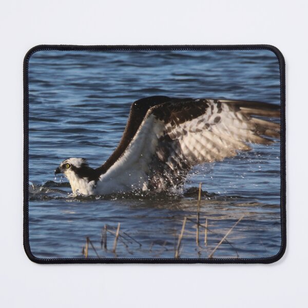 Item preview, Got Ya! designed and sold by Kerri Ann McClellan.