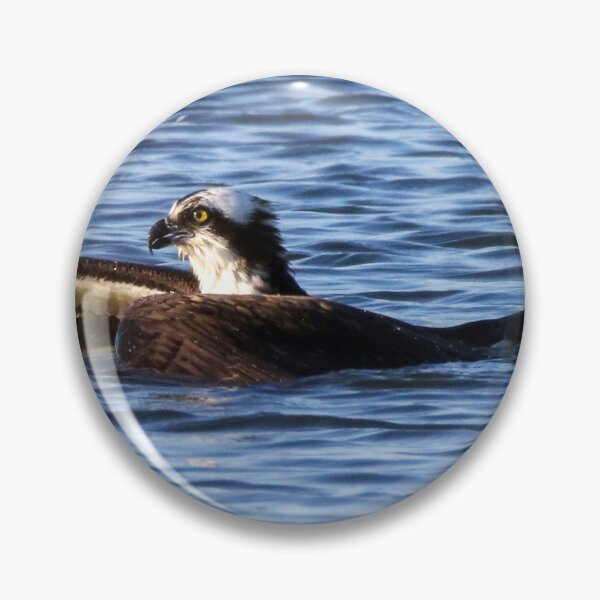 Item preview, Hunting Osprey designed and sold by Kerri Ann McClellan.