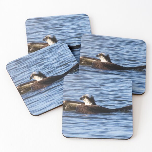 Item preview, Hunting Osprey designed and sold by Kerri Ann McClellan.
