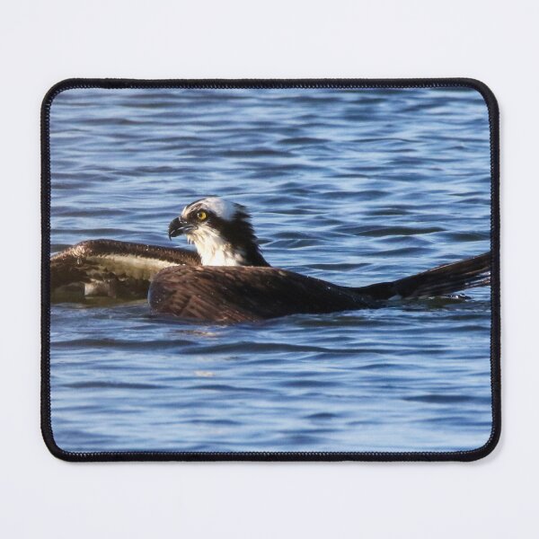 Item preview, Hunting Osprey designed and sold by Kerri Ann McClellan.
