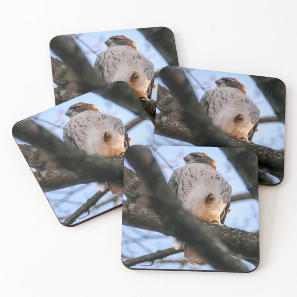 Item preview, Cold Hawk designed and sold by Kerri Ann McClellan.