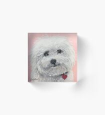 Cute Bichon Frise Art Acrylic Block