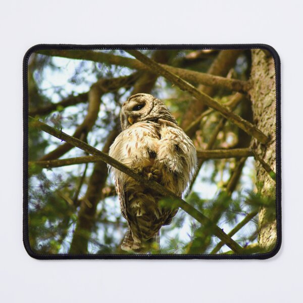 Item preview, From Up Here designed and sold by Kerri Ann McClellan.