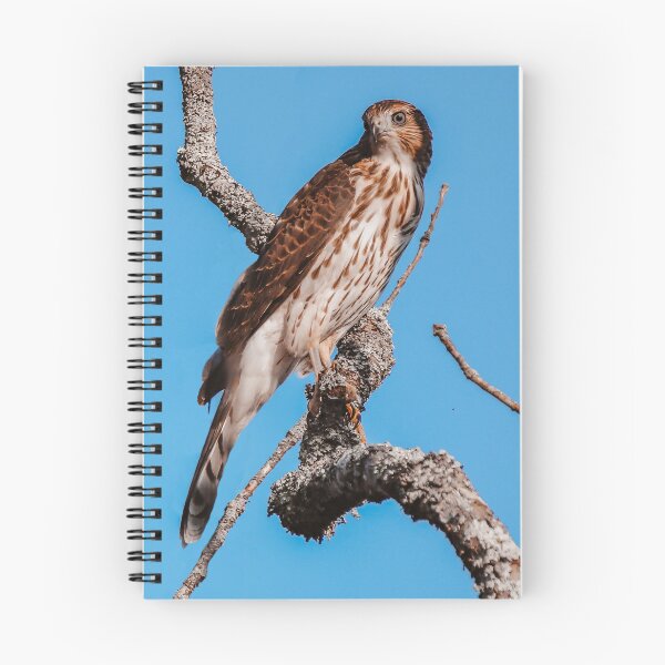 Item preview, Up and Away designed and sold by Kerri Ann McClellan.