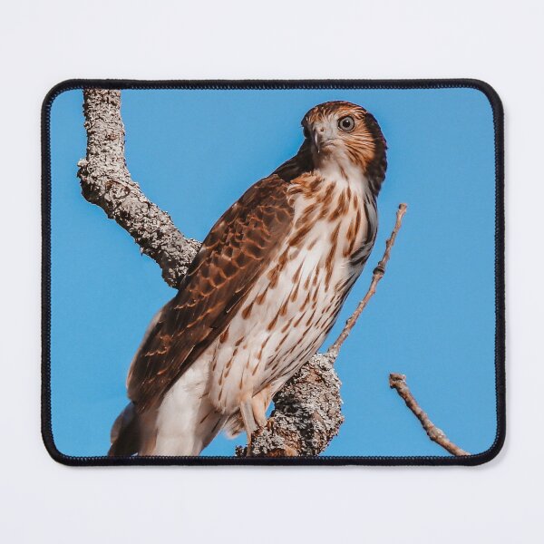 Item preview, Up and Away designed and sold by Kerri Ann McClellan.