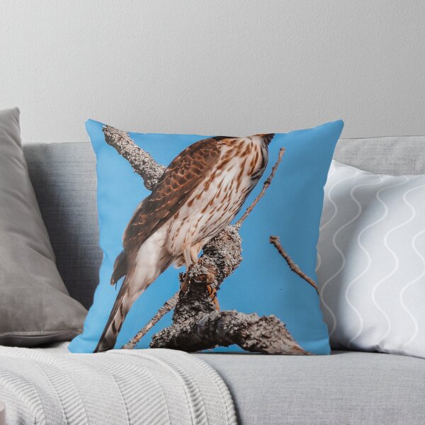 Item preview, Up and Away designed and sold by Kerri Ann McClellan.