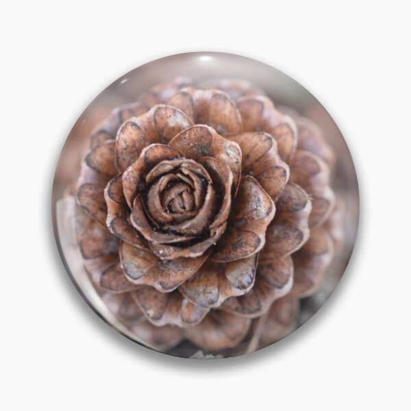 Item preview, Tiny Pine Cone Photography designed and sold by larissamae.