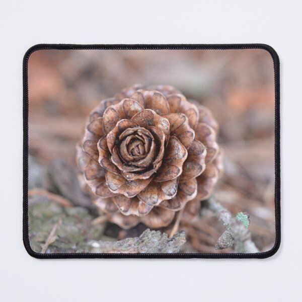 Item preview, Tiny Pine Cone Photography designed and sold by larissamae.