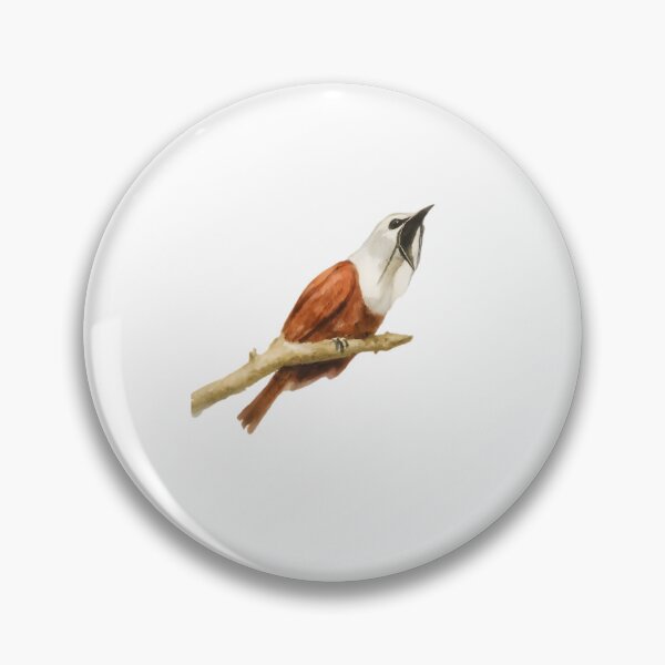 Item preview, Three-wattled Bellbird (Procnias tricarunculatus) designed and sold by HOMETOWN86.
