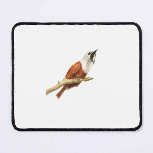 Item preview, Three-wattled Bellbird (Procnias tricarunculatus) designed and sold by HOMETOWN86.