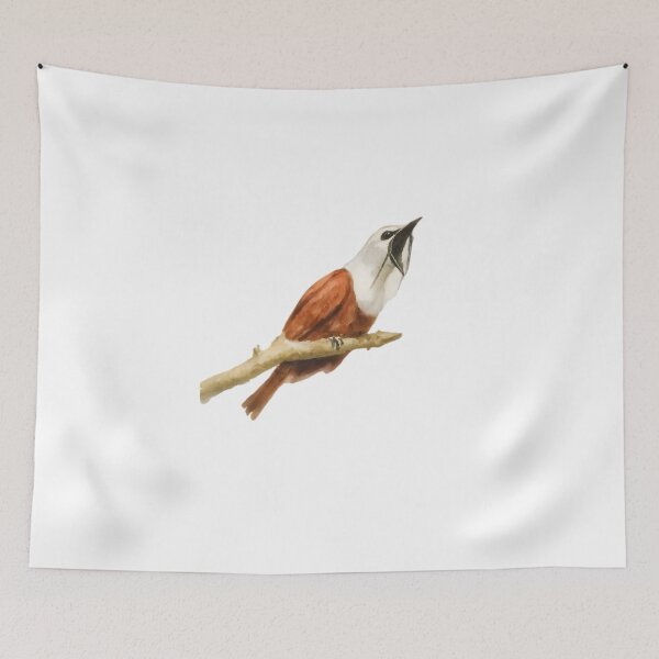 Item preview, Three-wattled Bellbird (Procnias tricarunculatus) designed and sold by HOMETOWN86.