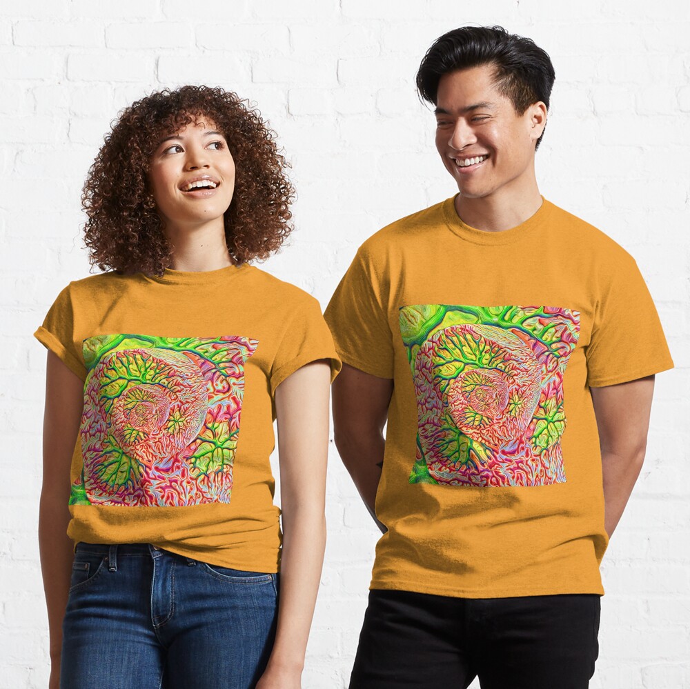 interesting... Classic T-Shirt