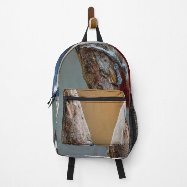 Item preview, Great Spotted Woodpecker On a Tree designed and sold by laguitan10.