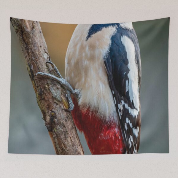 Item preview, Great Spotted Woodpecker On a Tree designed and sold by laguitan10.