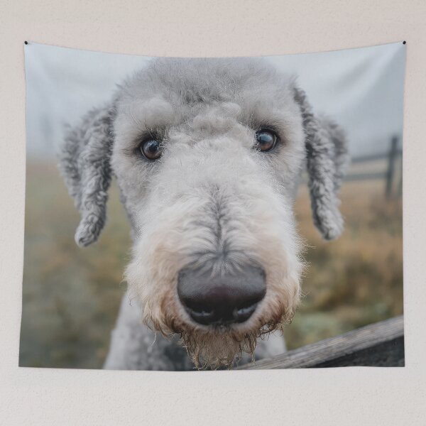 Item preview, Bedlington Terrier designed and sold by Elisabeth Lucas.