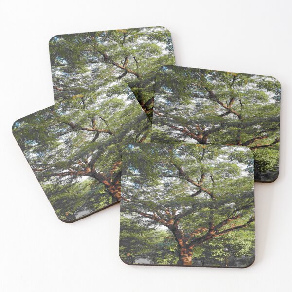 Item preview, Tree designed and sold by Twala Design Co..