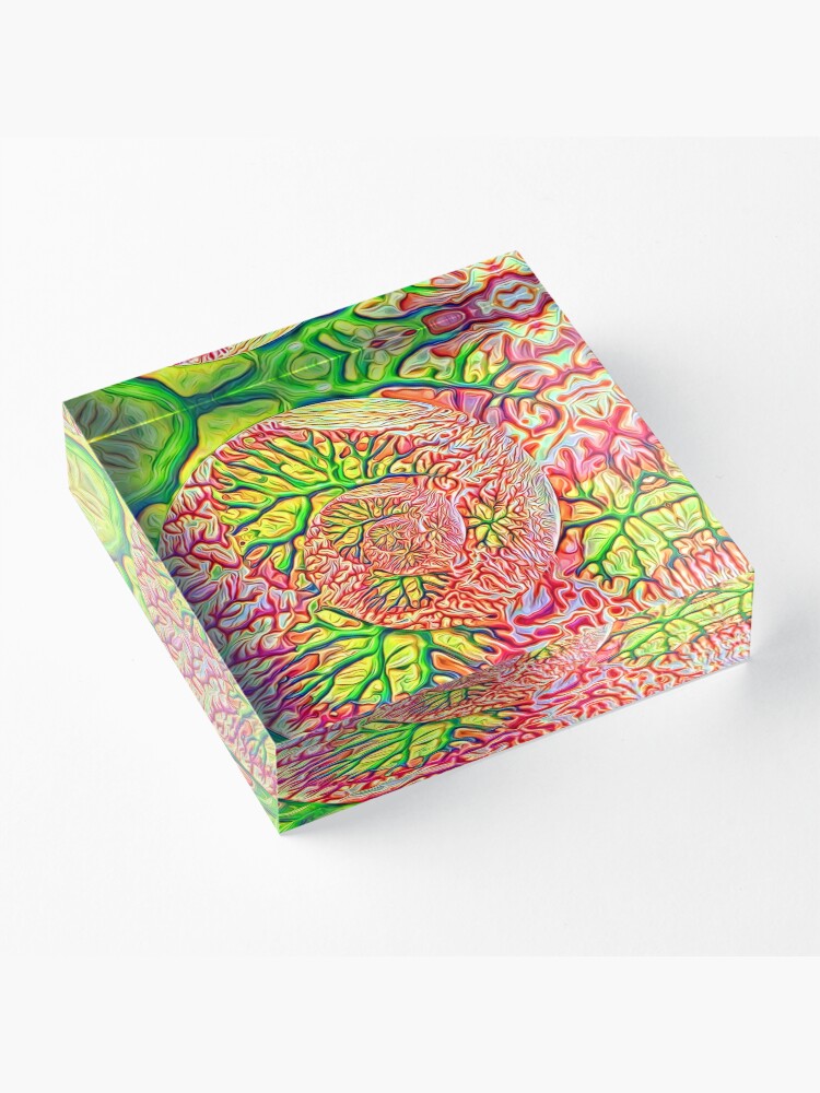 Alternate view of interesting... Acrylic Block