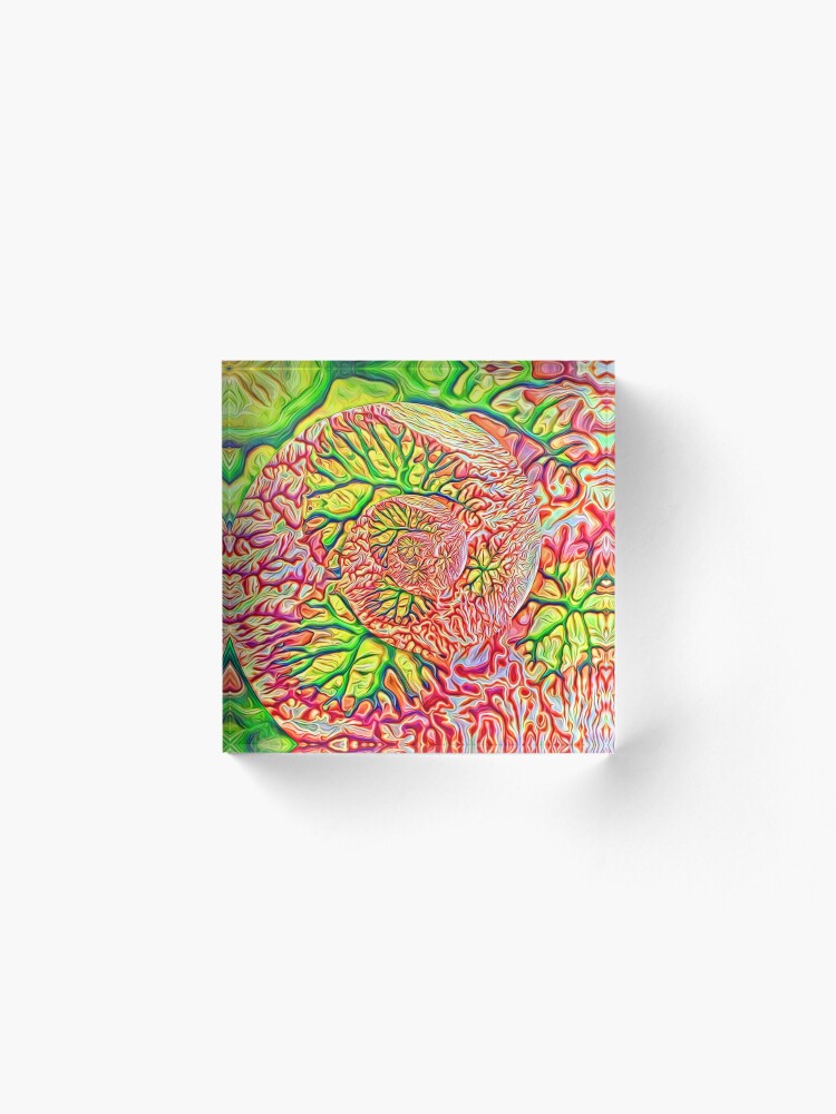 Alternate view of interesting... Acrylic Block