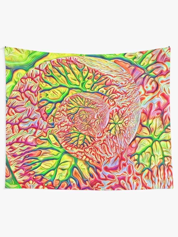 Alternate view of interesting... Tapestry