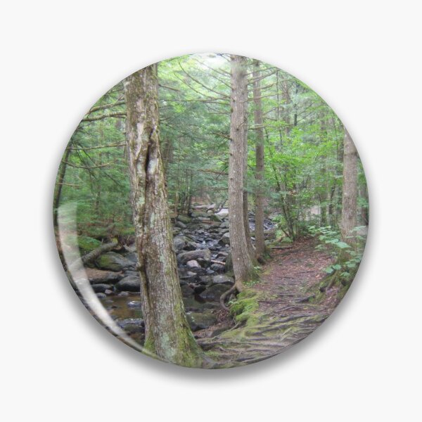 Artikelvorschau, Bergpfad entlang eines Baches entworfen und verkauft von AK Designs LLC of New Hampshire.
