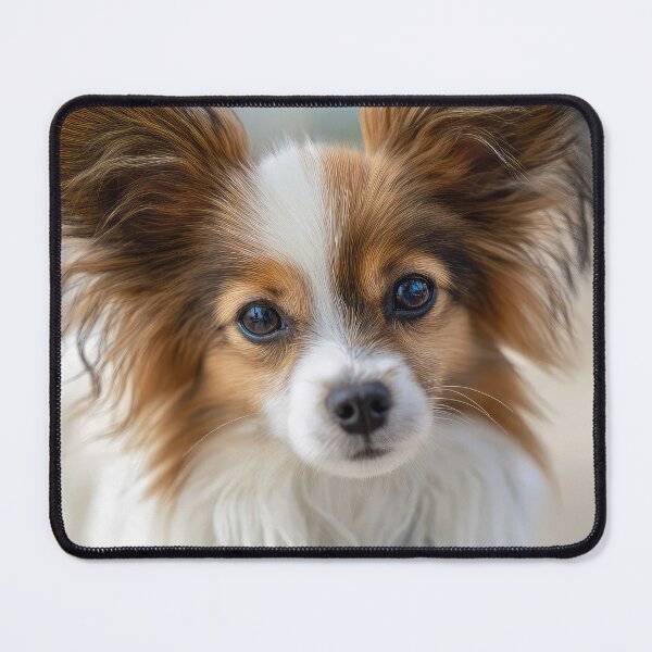 Item preview, Fluffy Papillon designed and sold by Elisabeth Lucas.