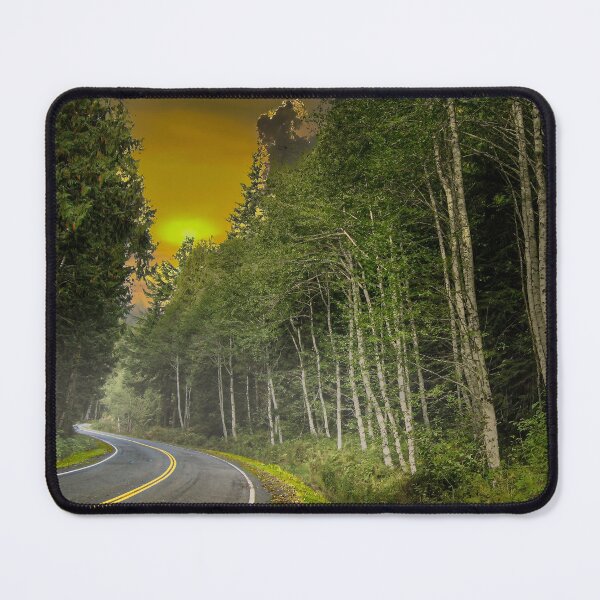 Item preview, S-Curve designed and sold by Steve Walser.