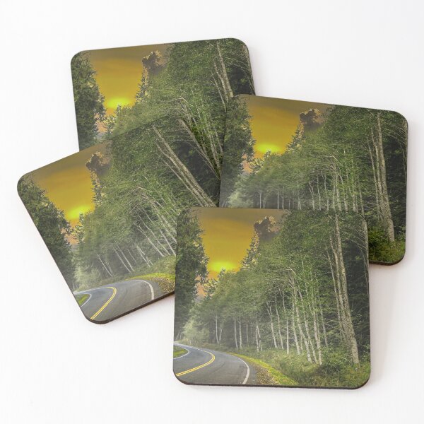 Item preview, S-Curve designed and sold by Steve Walser.