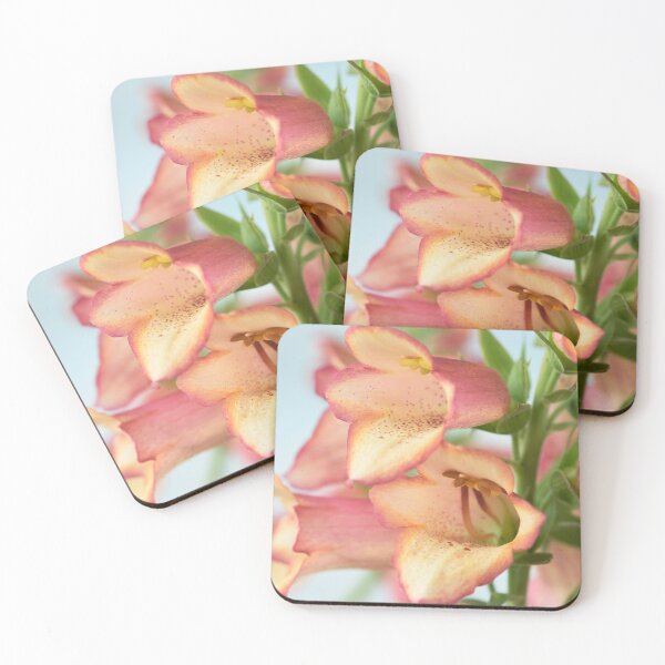 Item preview, Digitalis x valinii  Illumination Pink = 'Tmdgfp001'  Foxglove  Illumination Series   designed and sold by Chris Burrows.