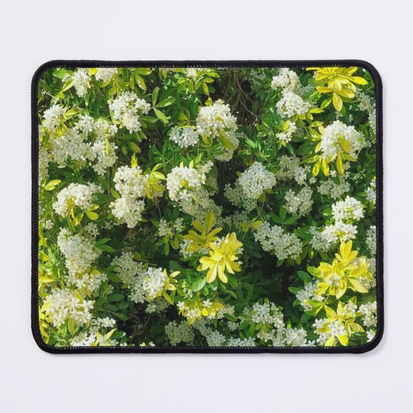 Item preview, A bush with white flowers designed and sold by KrencyArt.