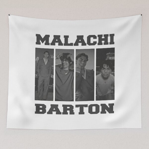 Item preview, Malachi Barton, Descendants Zombies Worlds Collide, The Rise Of Red, Summer Music Festival 2025 designed and sold by Tiar-Kin.