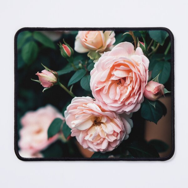 Item preview, Soft Pink Roses designed and sold by J'And .