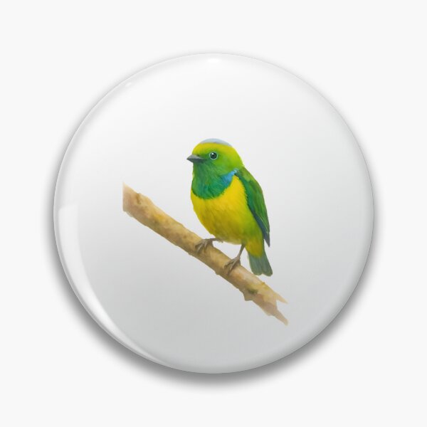 Item preview, Golden-browed Chlorophonia (Chlorophonia callophrys) designed and sold by HOMETOWN86.
