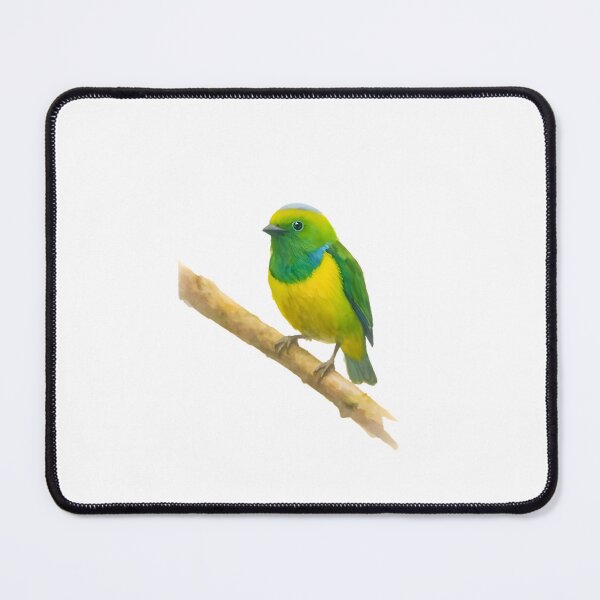 Item preview, Golden-browed Chlorophonia (Chlorophonia callophrys) designed and sold by HOMETOWN86.