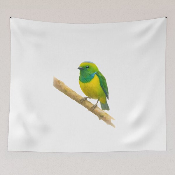 Item preview, Golden-browed Chlorophonia (Chlorophonia callophrys) designed and sold by HOMETOWN86.
