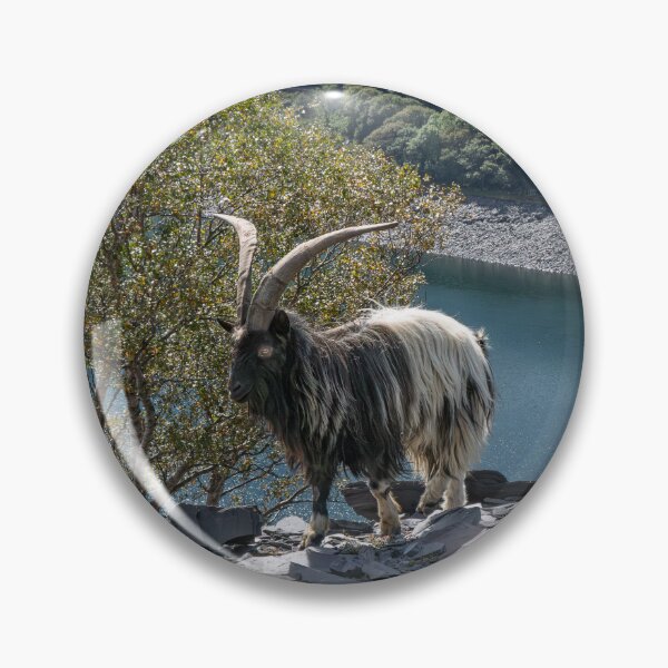 Item preview, Majestic Mountain Goat designed and sold by Karen Dore Art & Photography.