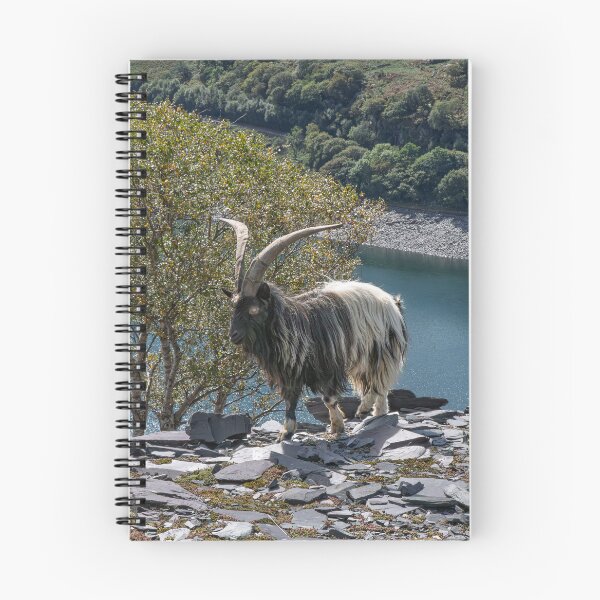 Item preview, Majestic Mountain Goat designed and sold by Karen Dore Art & Photography.
