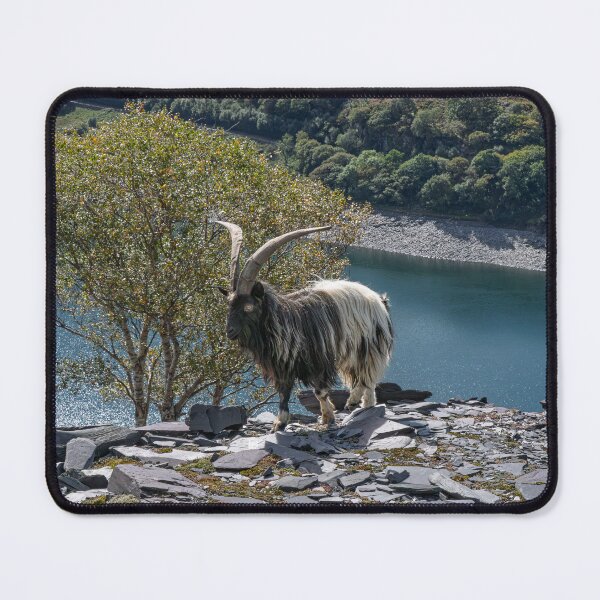 Item preview, Majestic Mountain Goat designed and sold by Karen Dore Art & Photography.