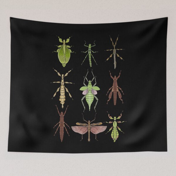 Item preview, Phasmids Men Women designed and sold by BelindaPen.