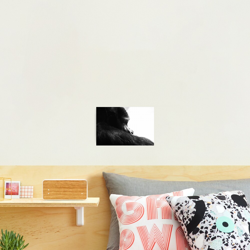 Gorilla! Photographic Print