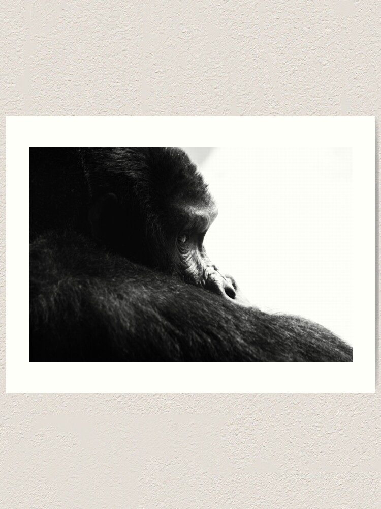 Alternate view of Gorilla! Art Print