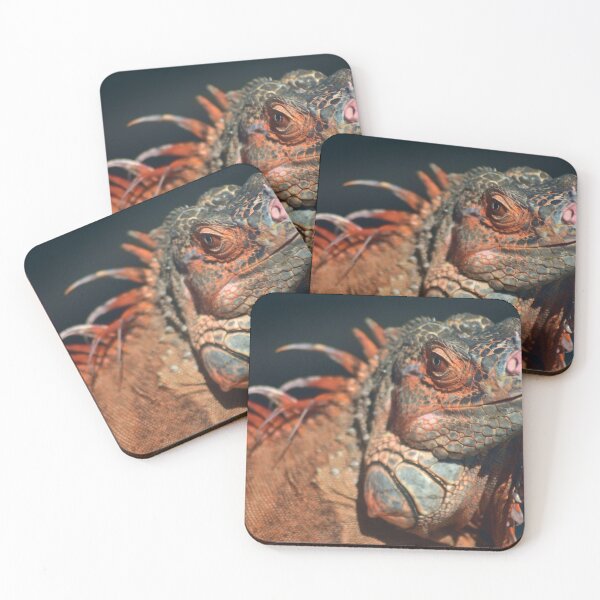 Item preview, Majestic Iguana Portrait designed and sold by MercerImages.